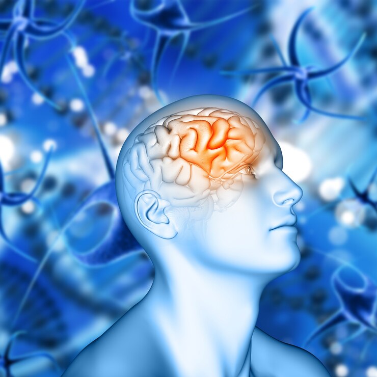 Neuropharmacology Research